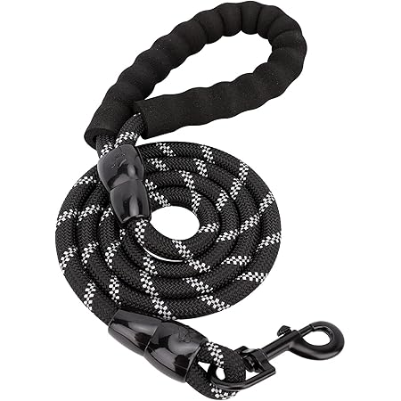 Amazon Basics 5-Foot Reflective Dog Leash with Comfortable Padded Handle, Black, for Large, Medium or Small Dogs