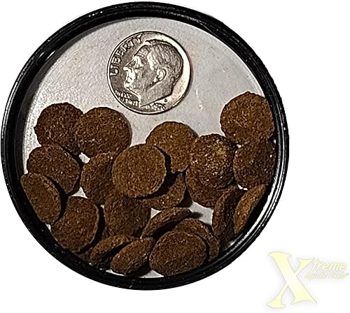 Vista 22 de Xtreme Scrapers Wafers - Alimento para peces de alta calidad de 0.551 in de rápida absorción – Rico en nutrientes y celulosa, ideal para comederos
