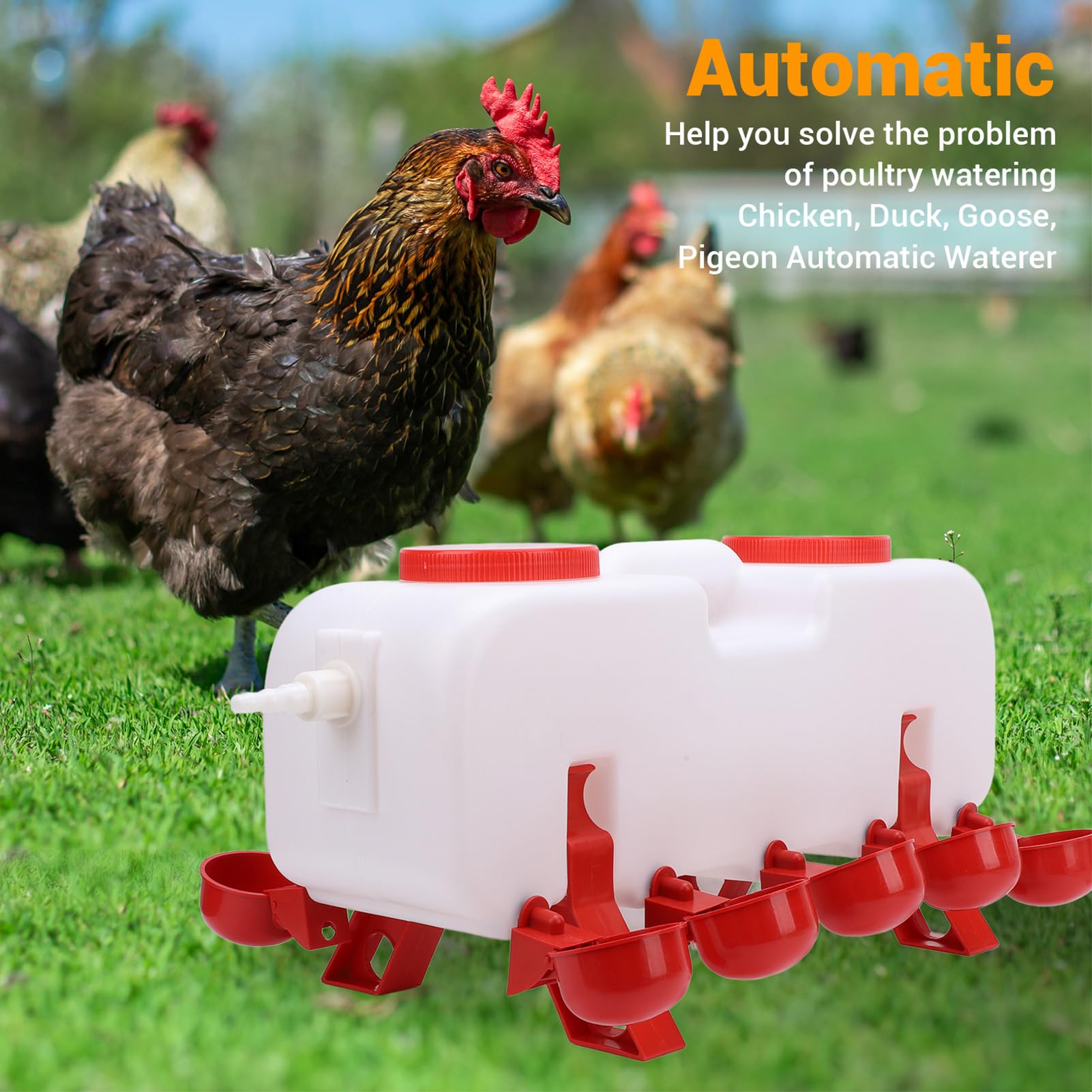 Bebedero automático de pollo con 10 tazas y extensión de manguera, alimentador de plástico para pollos, patitos, palomas