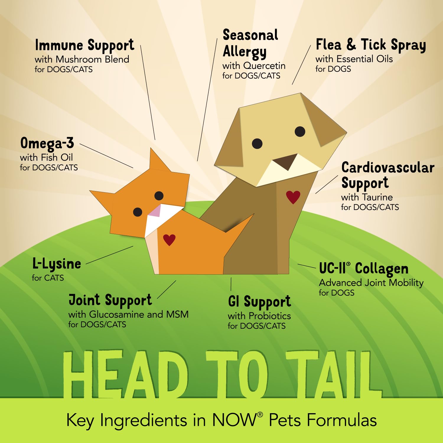 NOW Pet Health, L-Lysine Supplement, Powder, For Cats, 8-Ounce — Amazon image 8