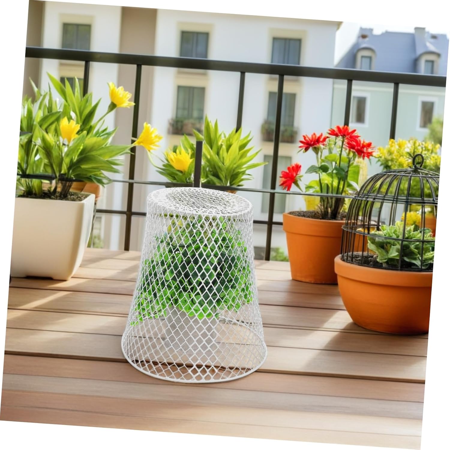 BESPORTBLE 1Set Metal Plant Protection Cage Durable Garden Cloche for and Vegetables Easy with Chicken Wire Covers and Ground Stakes