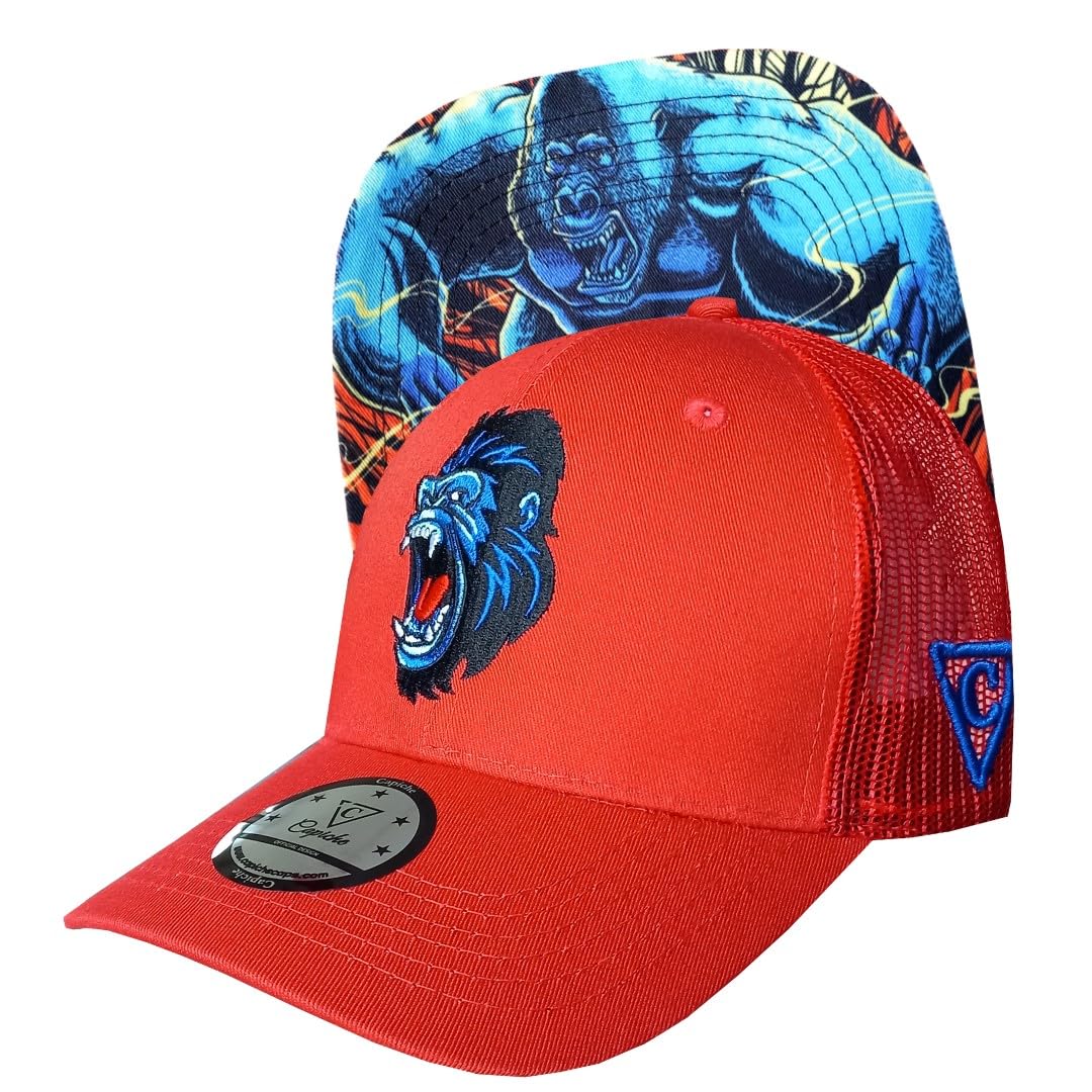 Capiche [99+ VARIACIONES] Gorra Snapback Nueva Colección Special Series Gris Oscuro — view 87