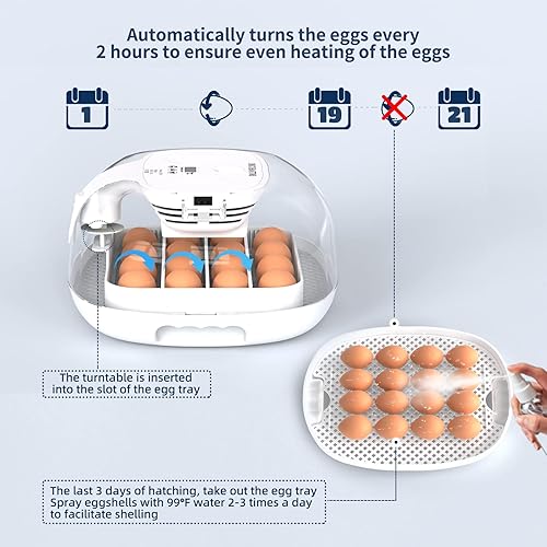 Miniatura 5 de Incubadora de huevos 16 incubadoras para incubar huevos con torneado automático de huevos vela de huevos y adición automática de agua para incubar