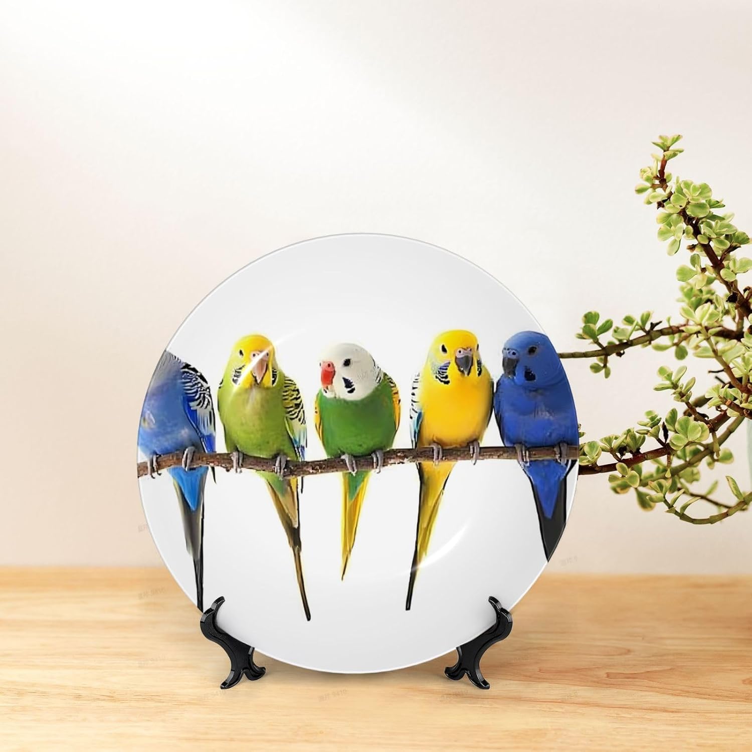 Colorful Australian Parakeets Style Ceramic Plate Display Home Display With Stand Wall Hanging Plate For Home Decor 10 Inch