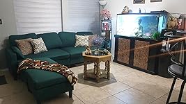 Review Image by Sbastarrica5