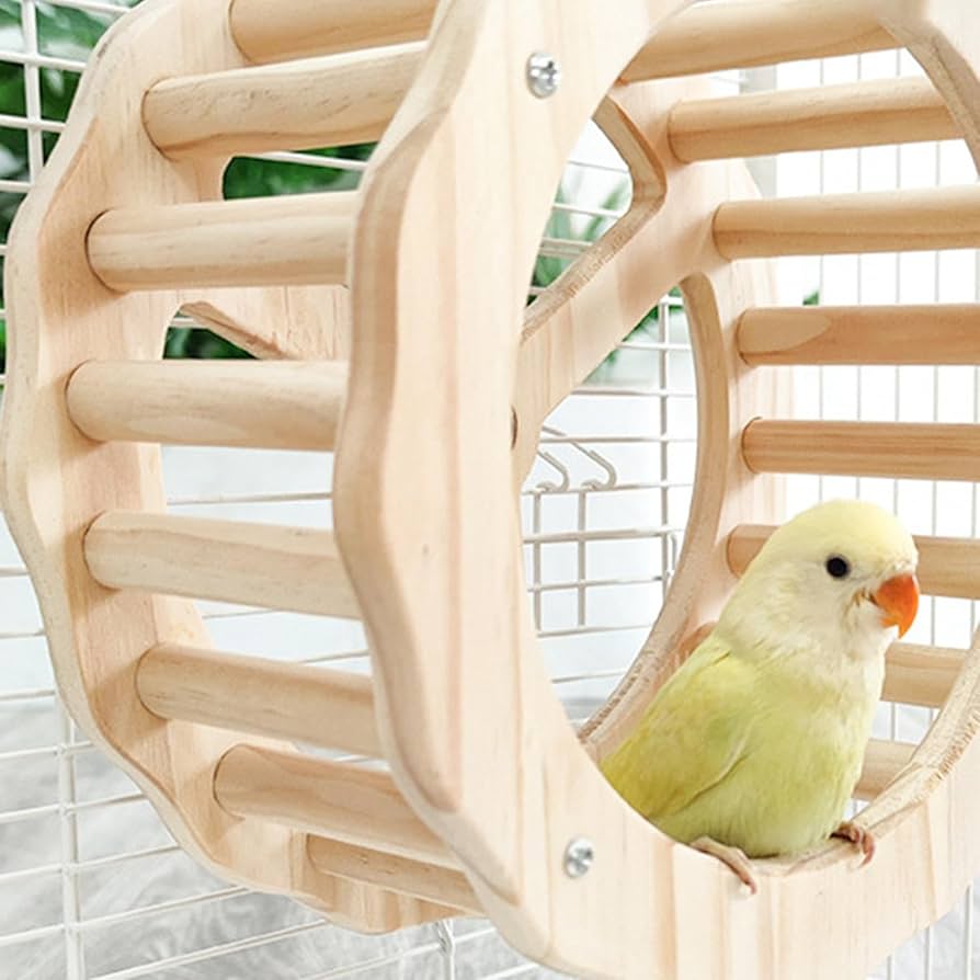 Amazon | インコ エクササイズ ホイール、オウム エクササイズ