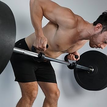 Amazon | Kensui Swissies :プルアップバー、バーベル、抵抗