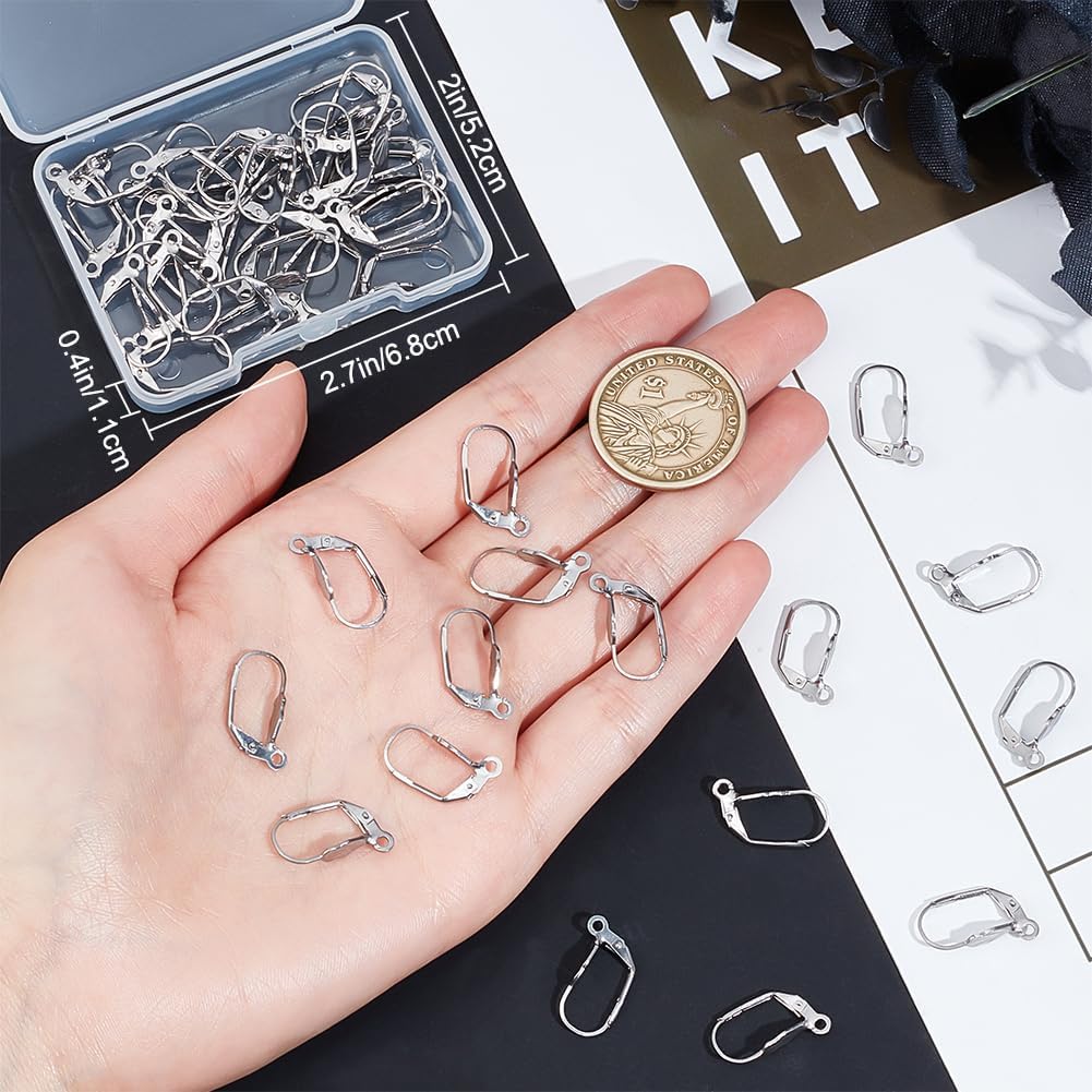 Beebeecraft 1 Box 50Pcs Leverback Earring Findings Stainless Steel Sea Shell French Earring Hooks with Hole for Jewellery Making