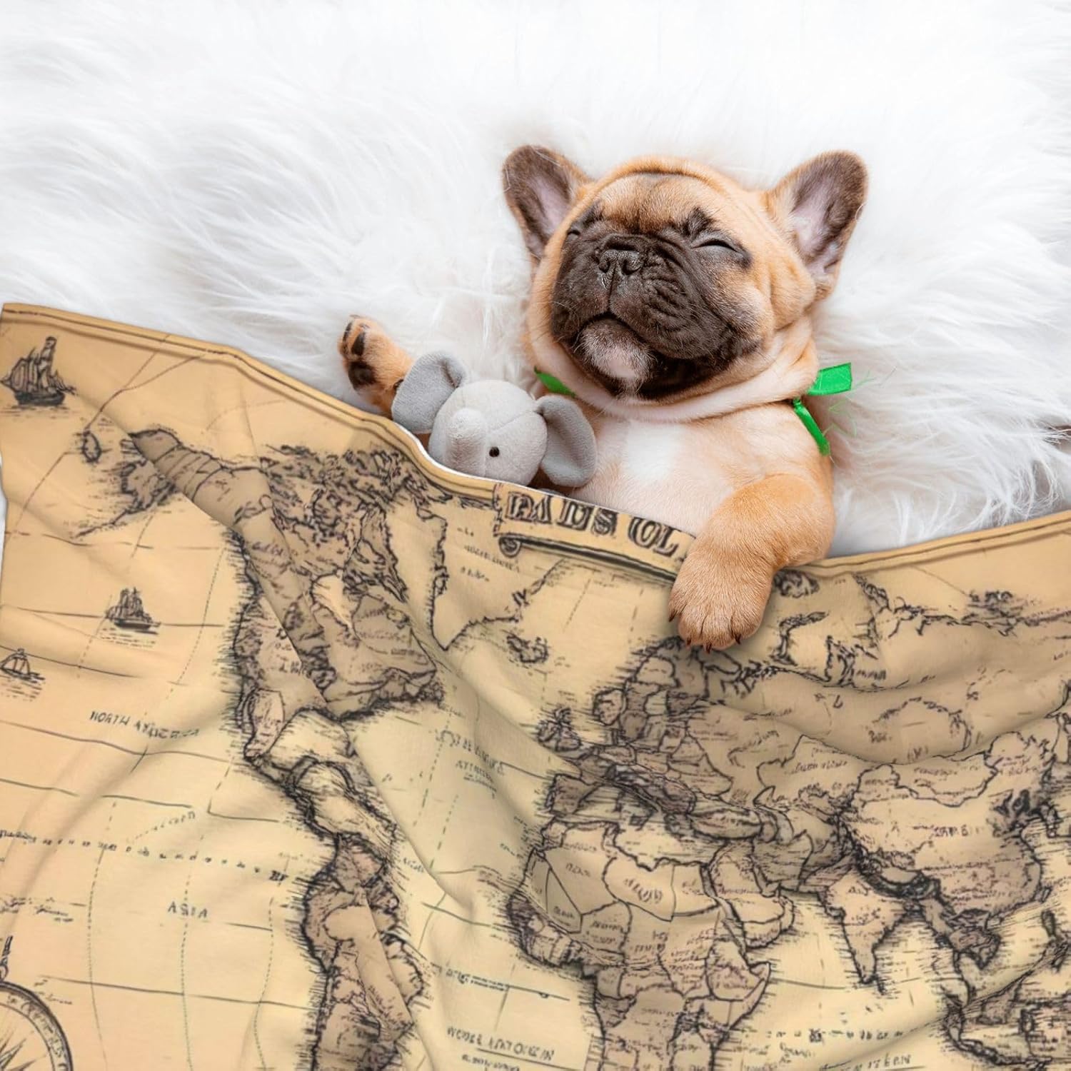 World Map Print Soft Plush Pet Blanket, Washable Dog Blanket, Cat Fleece Throw, Puppy Bed Crate Mat & Sofa Couch Protector - Large