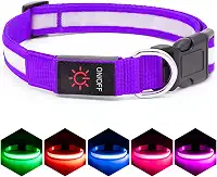 VIZPET Coleira de LED para cães, coleira de cachorro ajustável, recarregável, super brilhante, luz de segurança, coleira brilhante para cães (roxo, pequeno [11,02-15,74 polegadas/28-40 cm])