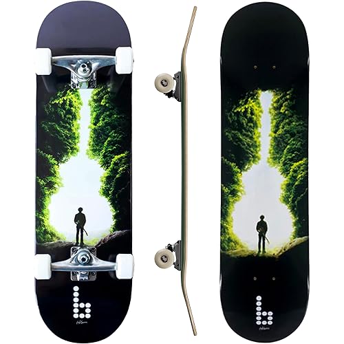 Braille Complete Skateboard for Adults Teens Boys Girls Kids Skateboard Standard Skateboard for Tricks 31.5” Pro Skate Board