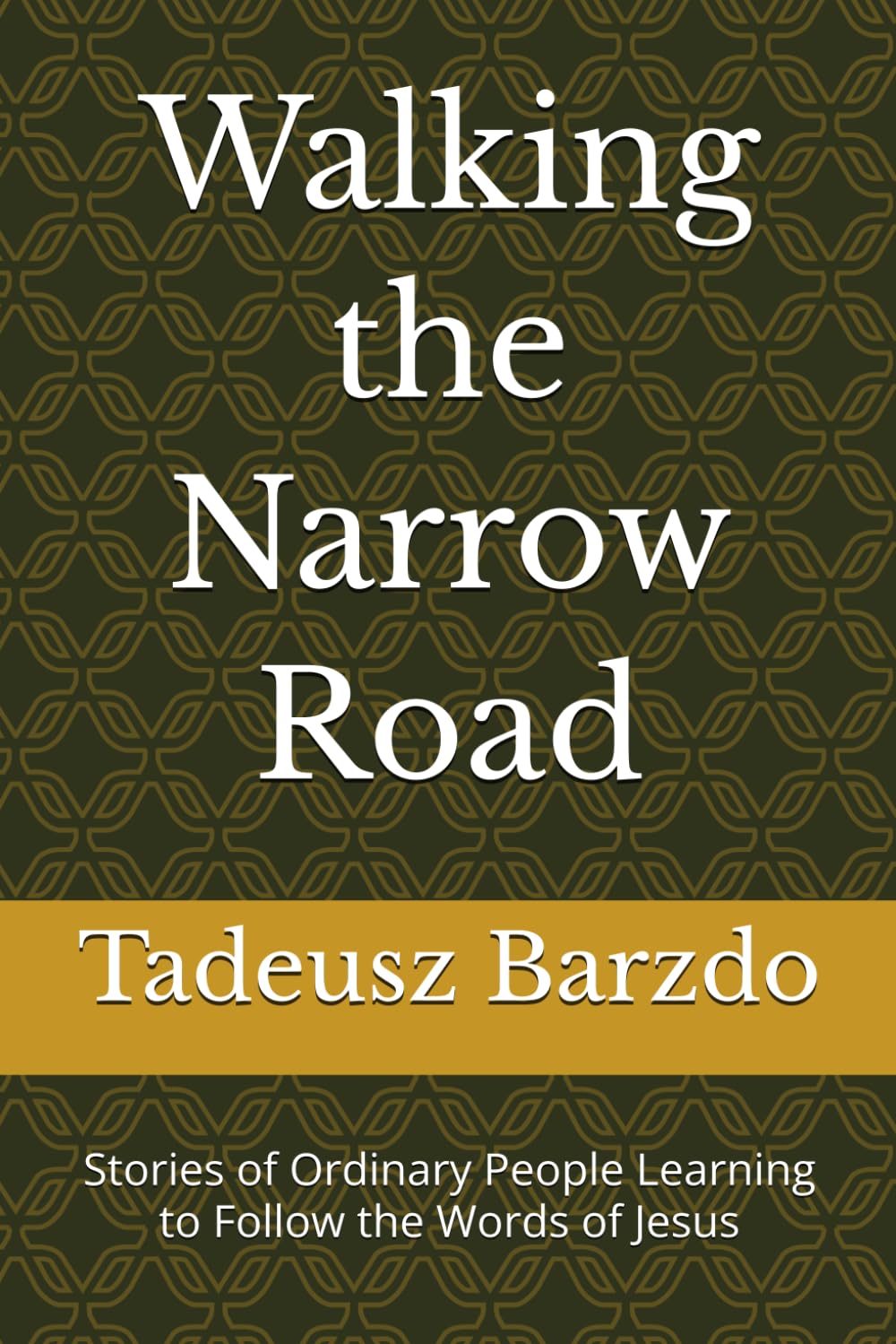 Walking the Narrow Road: Stories of Ordinary People Learning to Follow the Words of Jesus