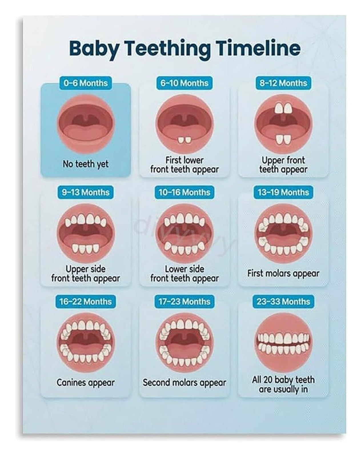 Infant Tooth Growth Guide Poster for Parents and Room Wall-Art | Visual timeline helps track expected arrival age for each tooth(Framed,16x24inch(40x60cm))