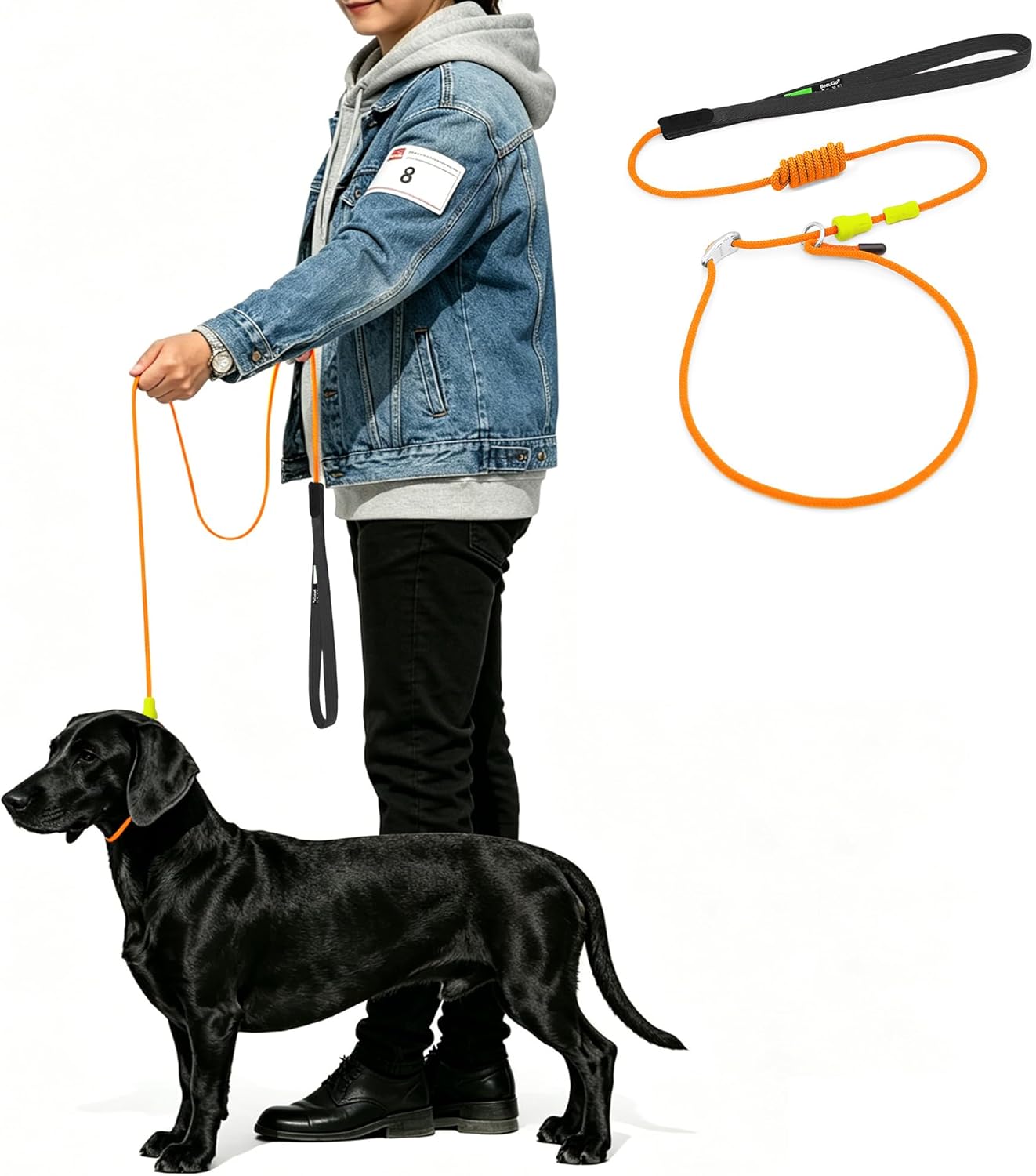 BeauGo Slip Leads for Dogs 4FT, Professional Trainer Rope, 2-in-1 Competition Training Lead & Collar, Suitable All Dog Training (Black)