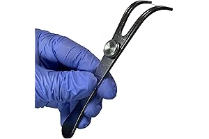 Refillable Dental Flosser Handle: A Sustainable Dental Hygiene Solution