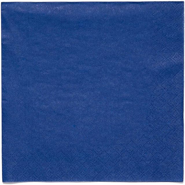 Amscan 9915402-209 Lunch Napkin 3Ply Blueberry