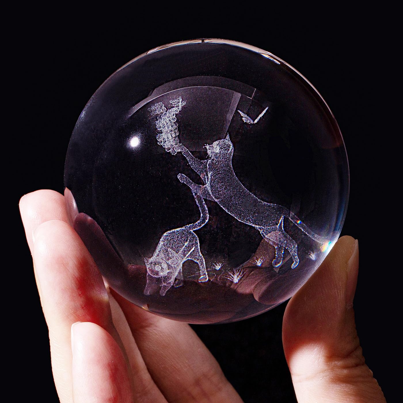 Sahoottie 60mm 3D Cats Crystal Ball Paperweight Cat Gifts for Women Cat Ornaments for Cat Lovers Witchy Gifts for Women - Image 2
