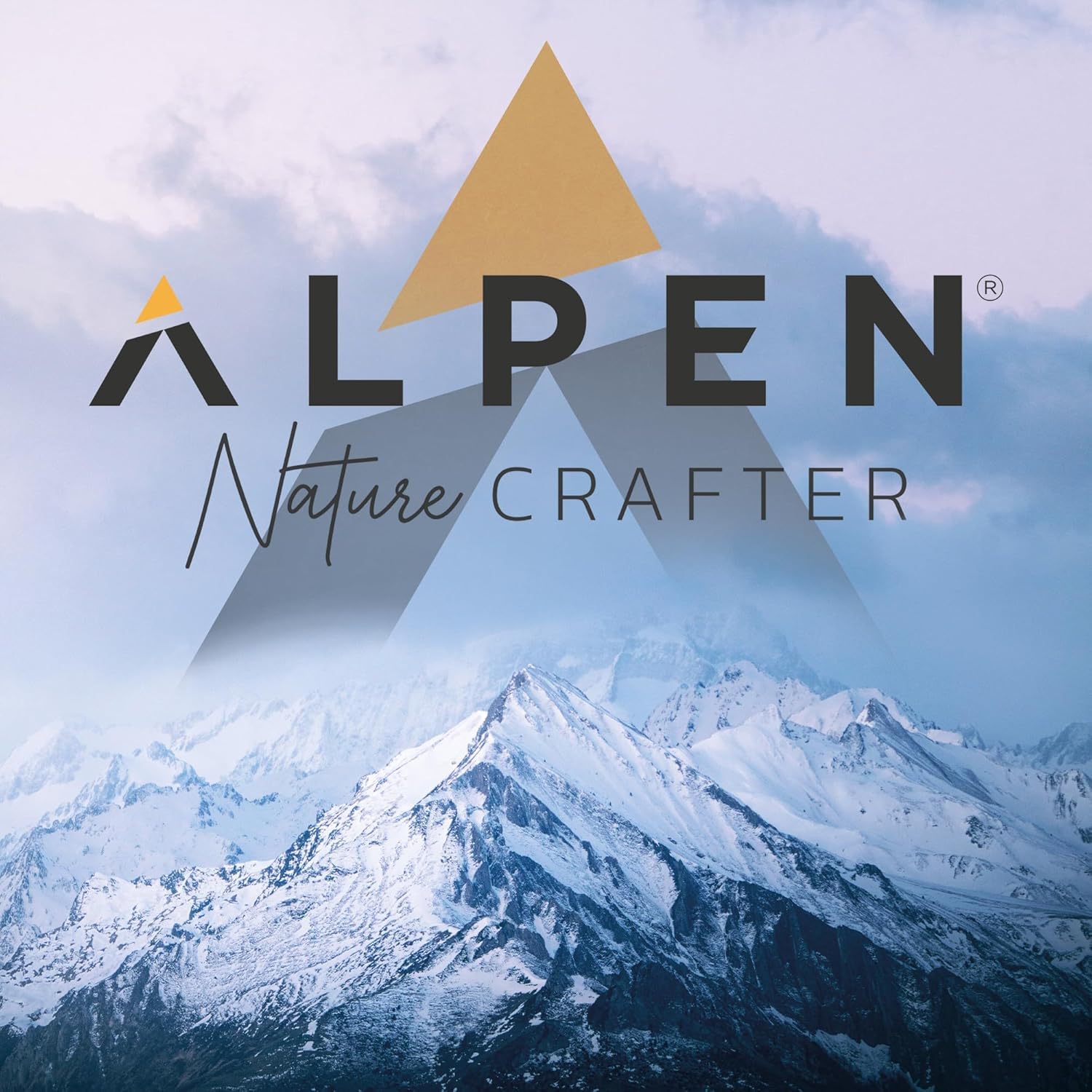 ALPEN Beverin 10 - Motosierra eléctrica inalámbrica 10 cm - Motor potente, 2 baterías de iones de litio 14,4 V, lubricación automática, kit de mantenimiento completo, maletín, cinturón, cargador de 3