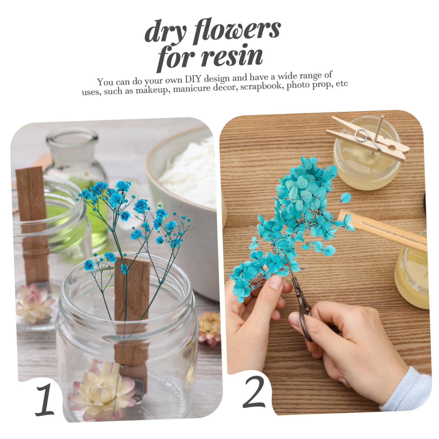 Abaodam Lot De 4 Fleurs Séchées Naturelles pour Projets Artisanaux Accessoires De Décoration Séchée Faits À La Main