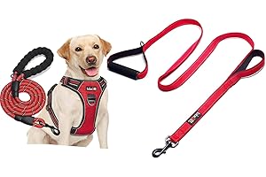 tobeDRI Dog Harness and Leash Set: Safety, Comfort & Control