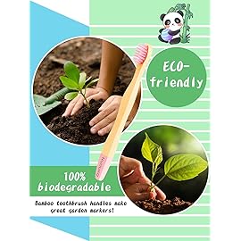 NUDUKO Kids Toothbrush Bamboo Toothbrushes 6 Pack - Organic Compostable Tooth Brush Wooden Baby Toddler Toothbrush, Eco-Friendly Natural Biodegradable Soft Bristle Toothbrush for Children