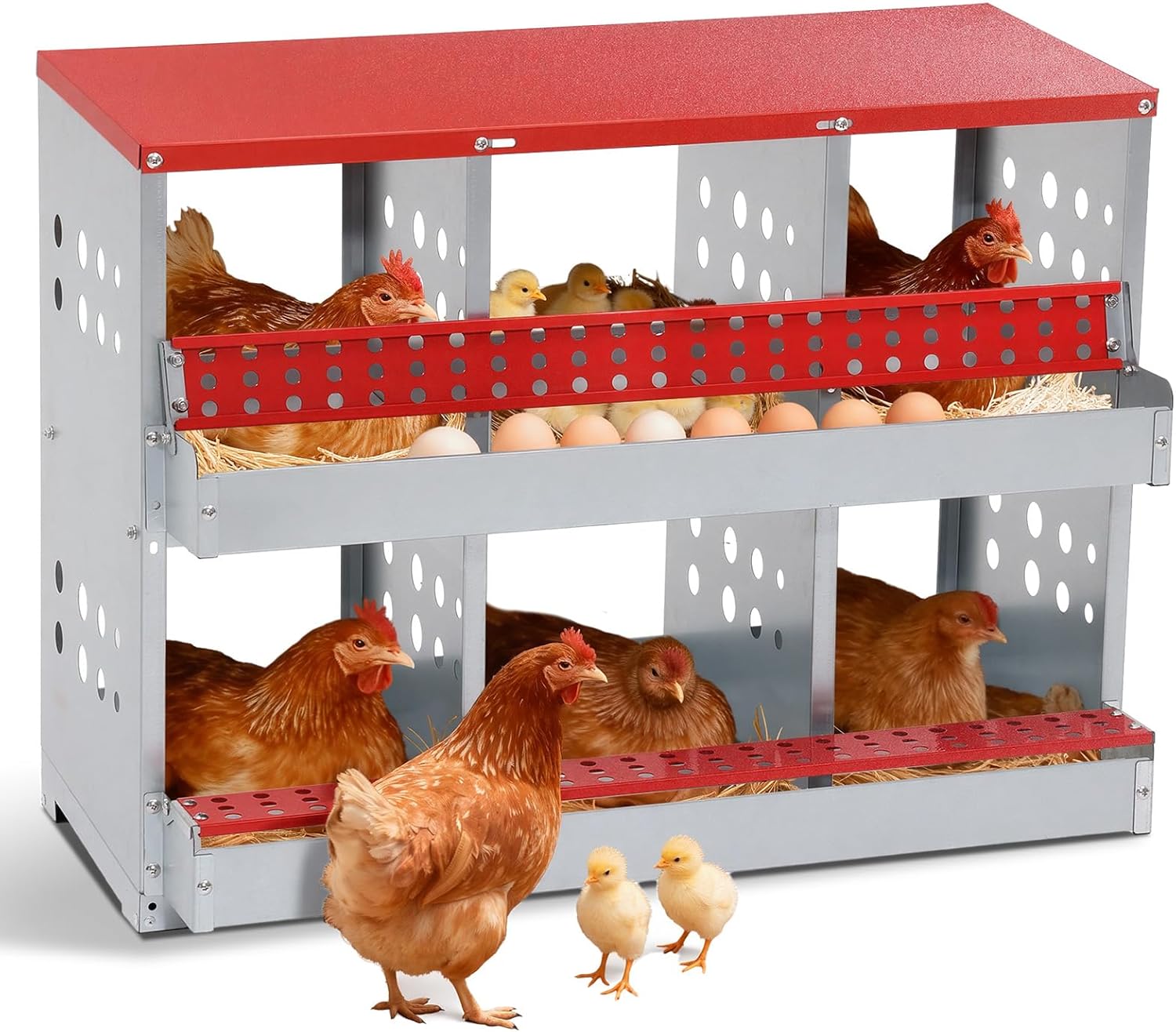 PawGiant 6-Compartment Chicken Nesting Boxes - Galvanized Steel Roll-Out Egg Collection, Wall-Mountable Ventilated Laying Boxes for Coops