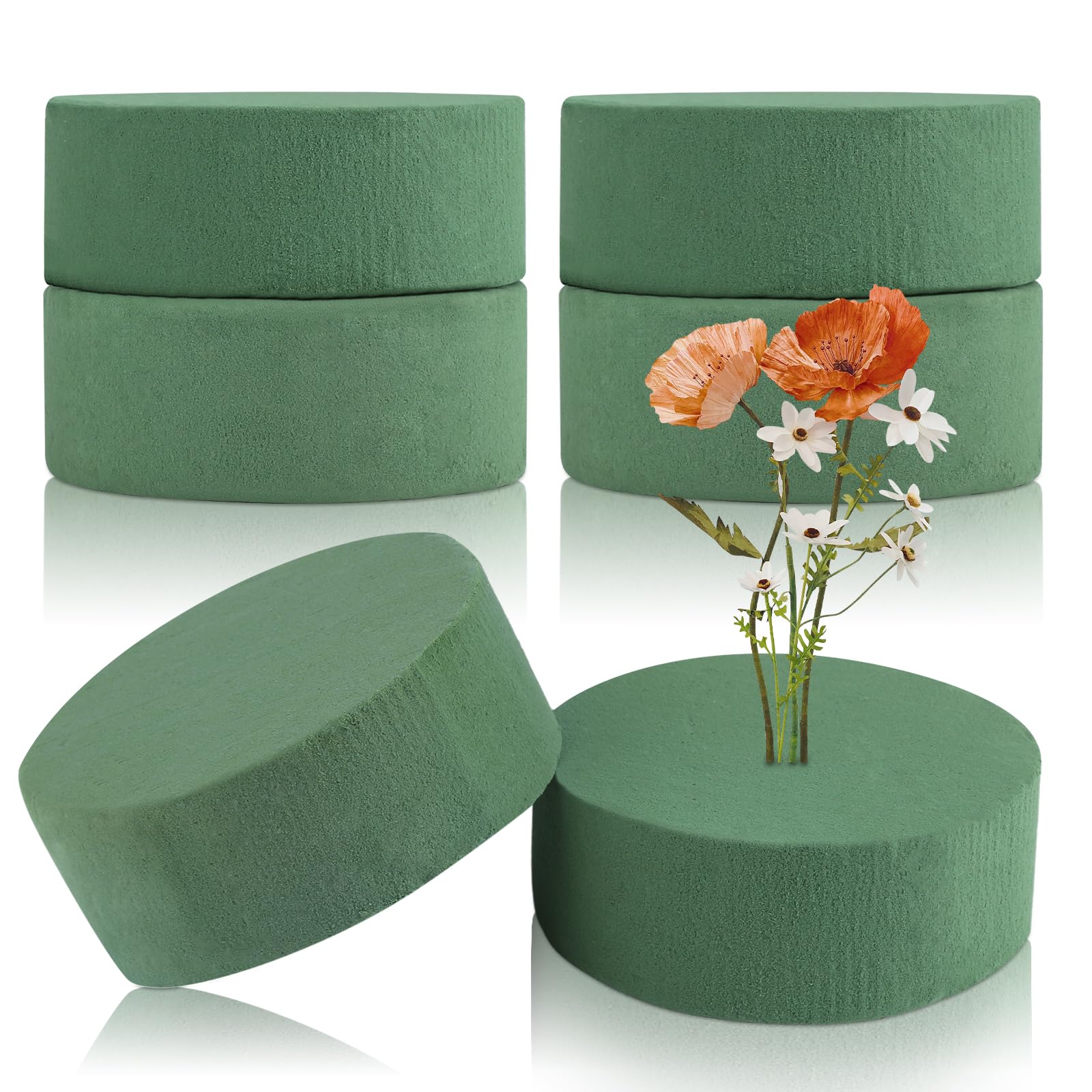Spugna Per Fiori Verdi - 6 Pezzi Rotondi, 10x10x4 Cm, Per Fiori Freschi E Artificiali