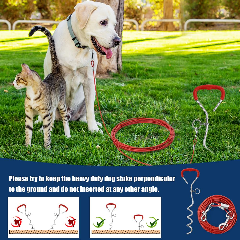 Aomig Piquet Ancrage pour Chien, 3m/6m Piquet d'Ancrage Spirale pour Chien, Sardines de Fixation pour Chien, Chaîne pour Chien d'extérieur, Ancrage au Sol pour Petits, Moyens et Grands Chiens