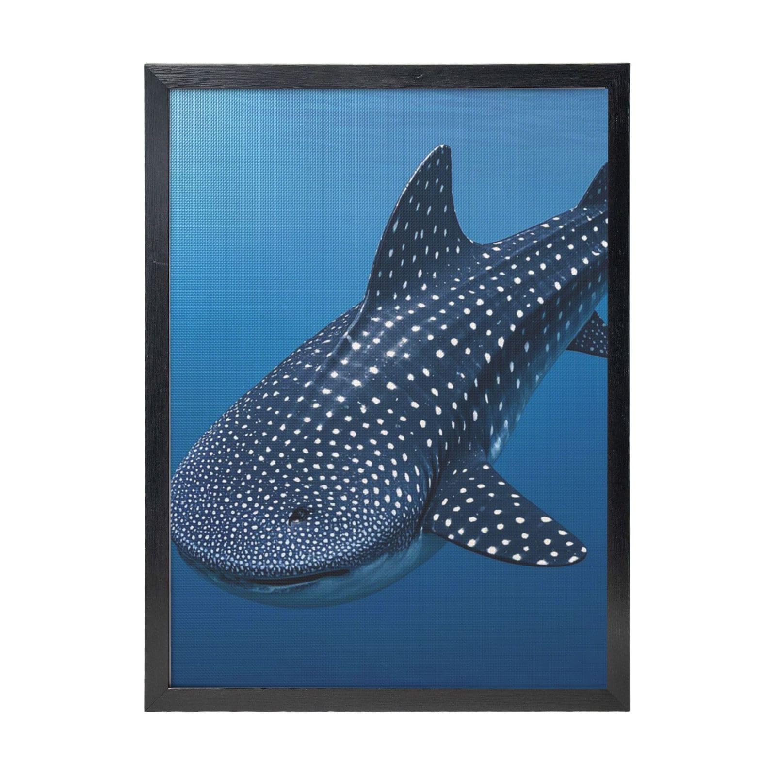 Framed Wall Art - Decorative Canvas Painting Variegated Whale Shark Navy Pictures Poster Aesthetic Modern Prints Artwork for Bedroom Office Wall Decor Ready To Hang 12x16 in