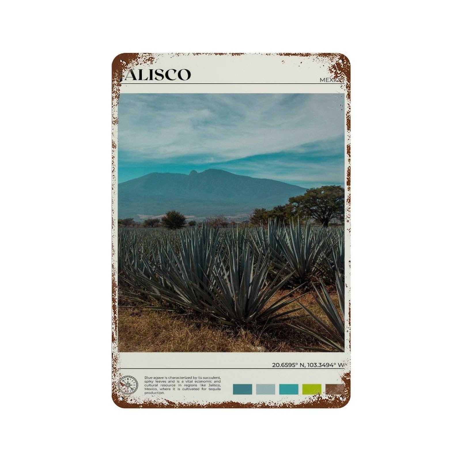 xiaoxiaoshen Real Photo Jalisco Decor Mexico Wall Decor Art Metal Tin Poster Modern Home Decor Art Home Bar Shop Decorations Vintage Sign 30x20cm