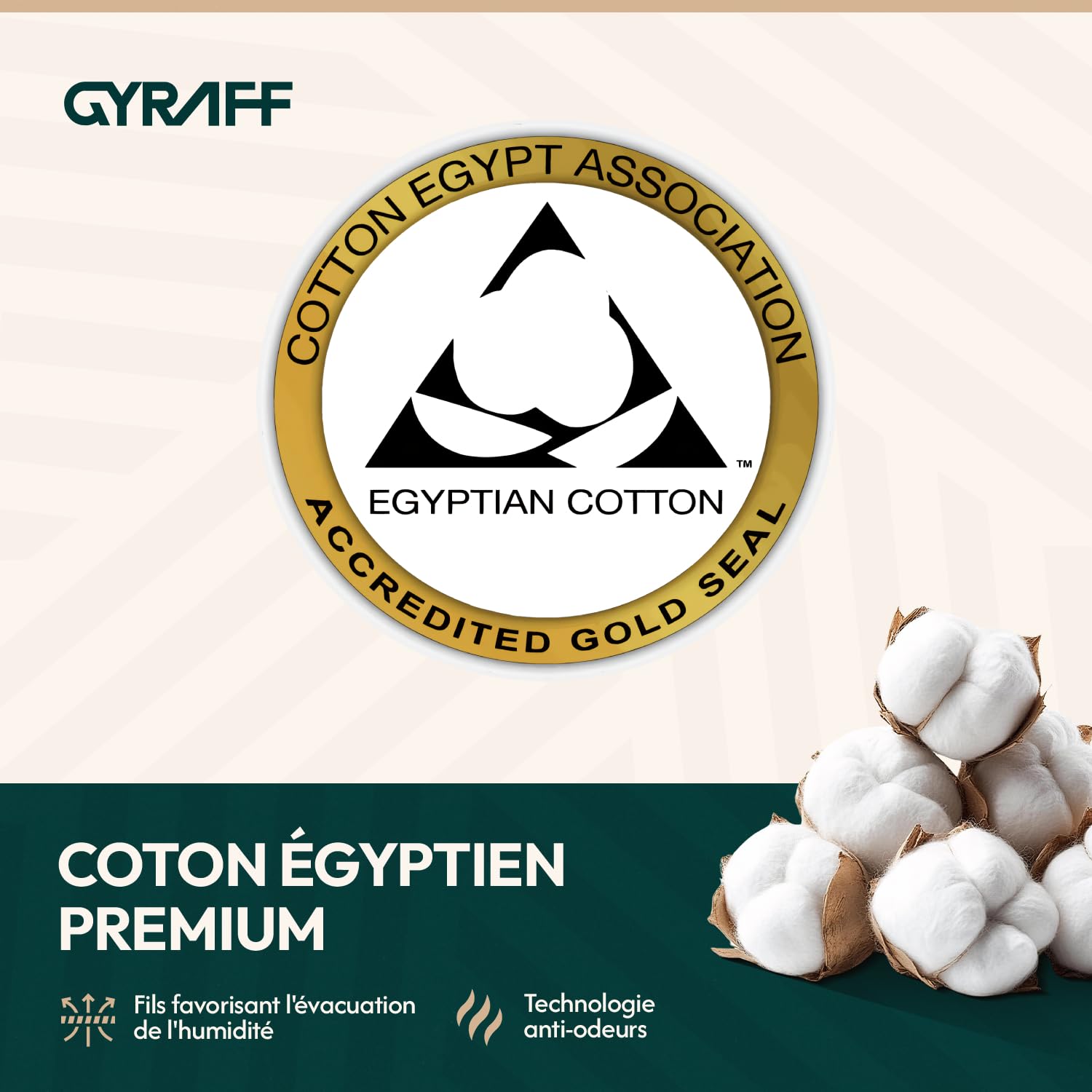 Chaussettes de sport basses en coton égyptien premium, rembourrées, Lot de 4, Socquettes running anti dérapantes, languette anti ampoule anti transpiration, Homme Femme, Blanche, 35-38 39-42 43-46