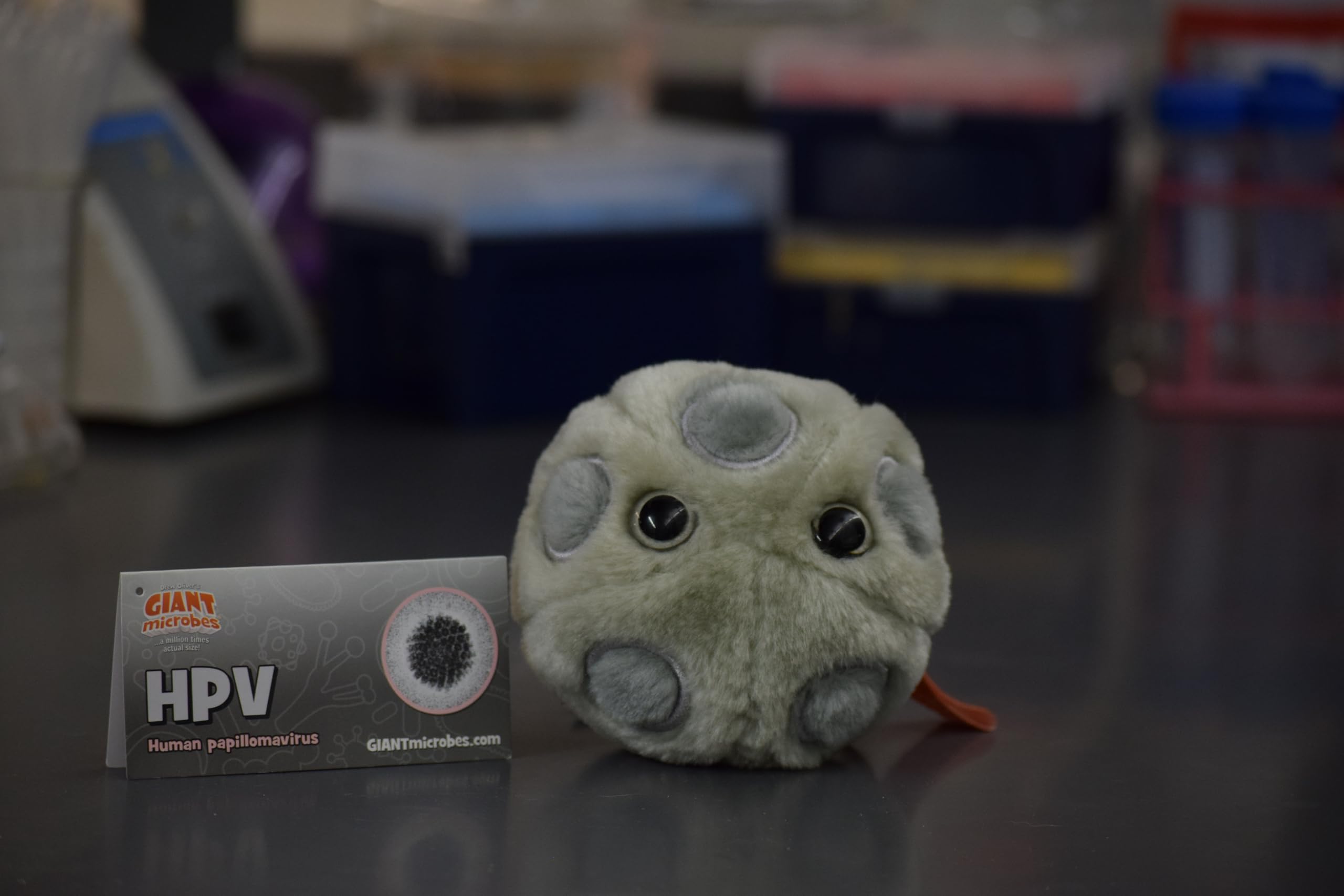 Amazon.com: GIANTmicrobes HPV Plush, STIs, STDs, Medical Gag Gifts Funny,  OBGYN Gifts for Doctors, Infection Prevention Gifts, Infection Control  Nurse Gifts : Toys & Games