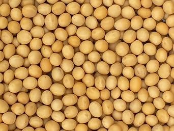 Premium Grade Non-GMO Soybeans 5 Pounds - Great for Soy Milk and Tofu - Product of USA