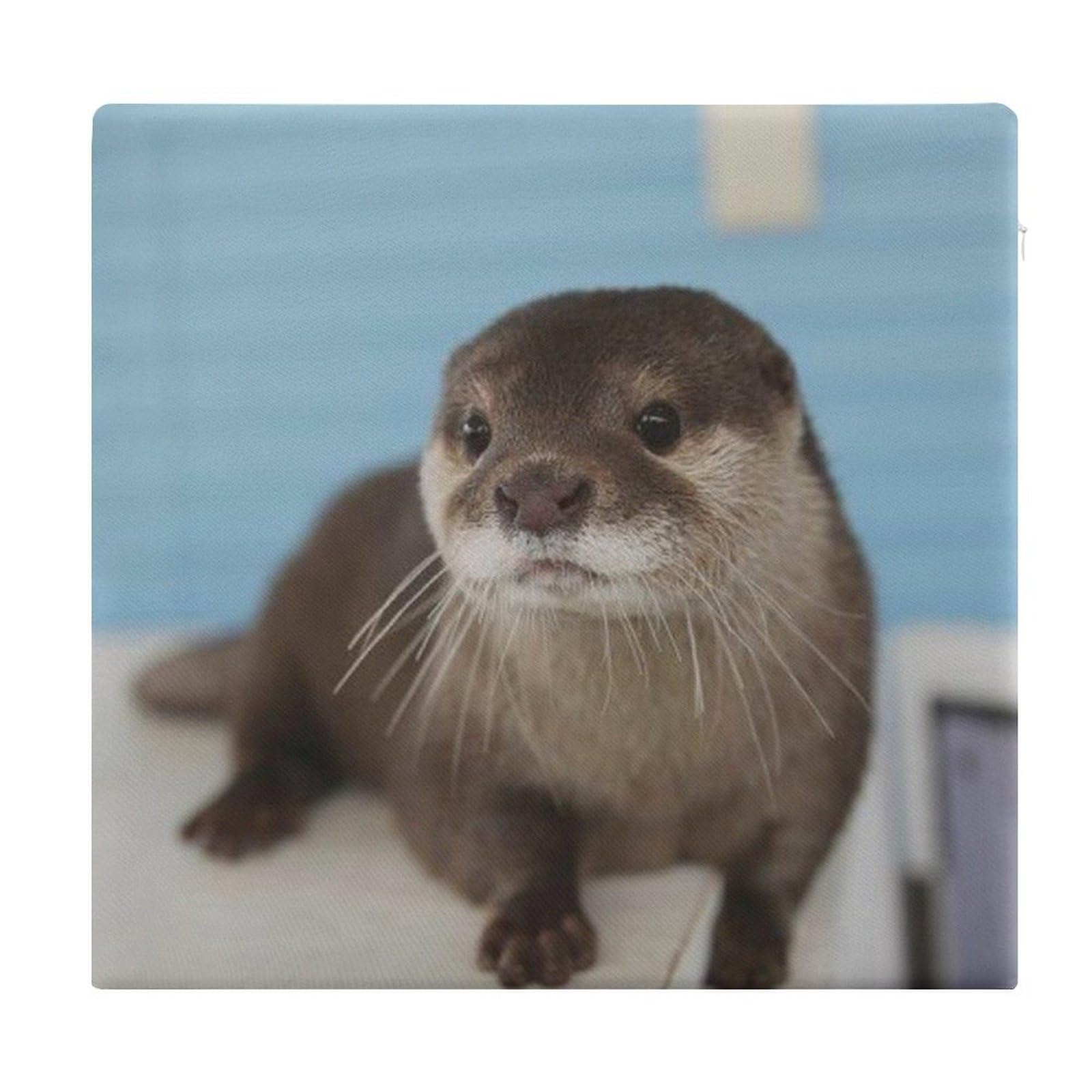 Coussin de siège loutre déhoussable, tapis de chaise ergonomique en mousse confort 38x35 cm