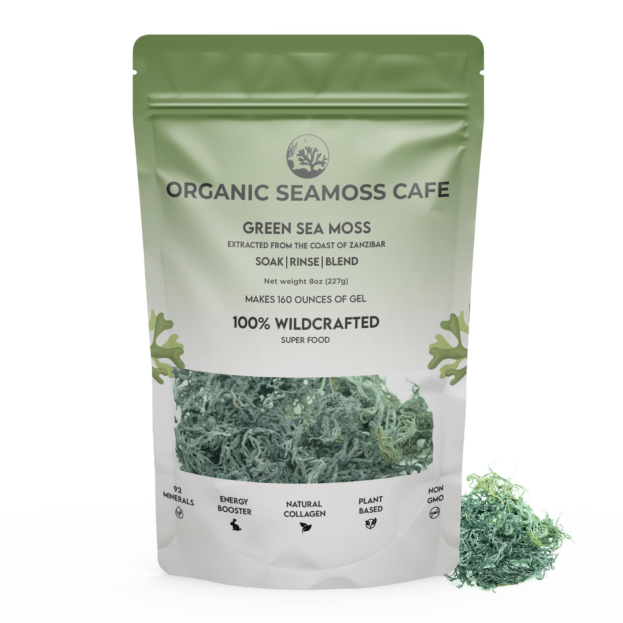 Sea Moss, Organic Sea Moss with Antioxidants and 92 Minerals, Sea Moss Raw Organic and Ethically Sourced, Make 160 oz of Sea Moss Gel, Green Sea Moss, 8oz
