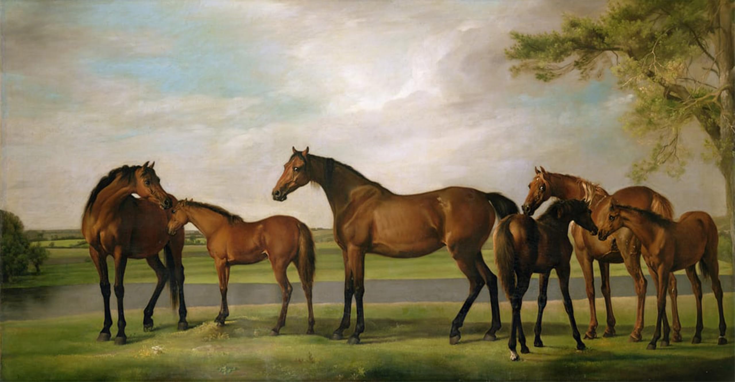 Wykujmyto No Frame Retro Picture Artwork Painting Art Wall Posters Mares And Foals Disturbed By An Approaching Storm By George Stubbs Canvas Art Paintings For Office Decor 60X90cm