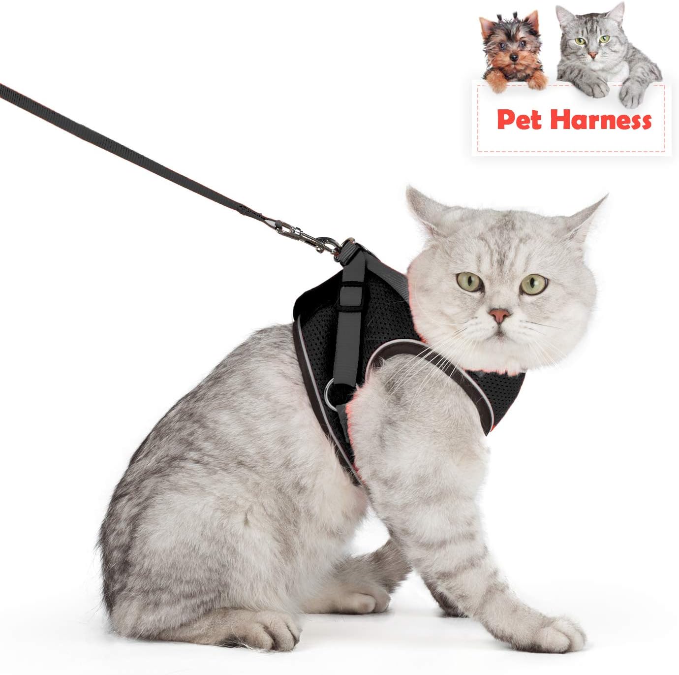 escape proof cat harness amazon