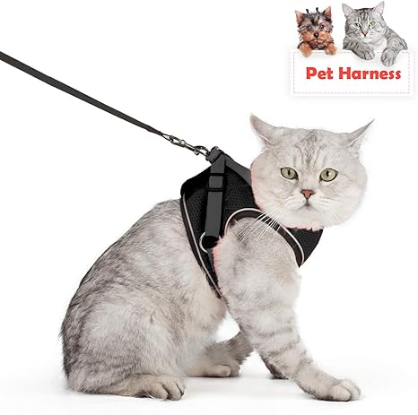 amazon cat harness and leash