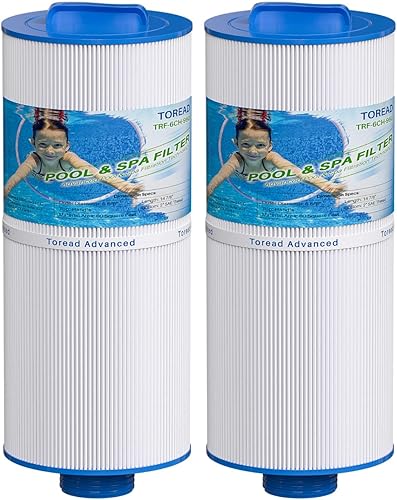 TOREAD Filtro de spa 6CH-960 sustituye a los filtros de jacuzzi J-300, J400, PJW60TL-F2S, 14081, 6000-383A, Unicel 6CH-960, Filbur FC-2800,