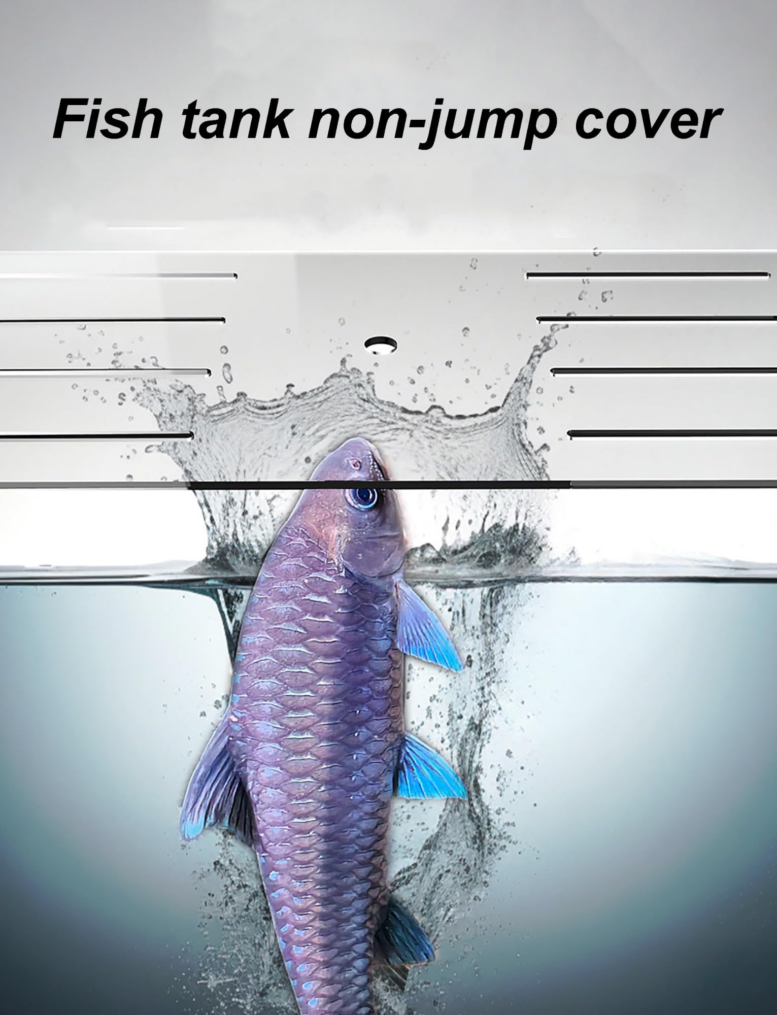 Generico Coperchio for Acquario in Acrilico - Copertura in Rete Anti-Salto, Copertura Superiore Resistente ai Graffi di Gatto, Misure su Misura Disponibili(30x20cm/11.8x7.9in)