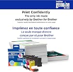 Brother Genuine LC501XLBKS High Yield Black Ink Cartridge for Brother Printer MFC-J1260DW, MFC-J1360DW, MFC-J1410DW
