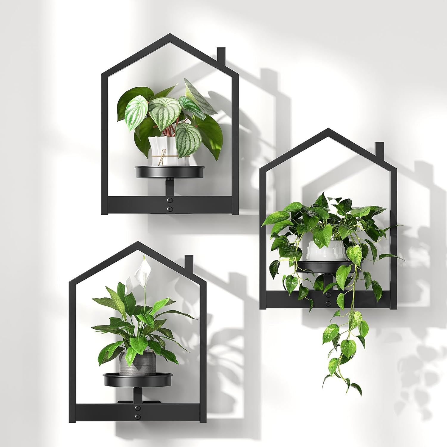 HOOBRO Hanging Planters for Indoor Plants, Wall Plant Holder Set of 3, Plant Hanger Indoor Window Plant Shelves, Metal Frame, Space Saving, for Living Room Outdoor Entryway, Black BK08HJP301