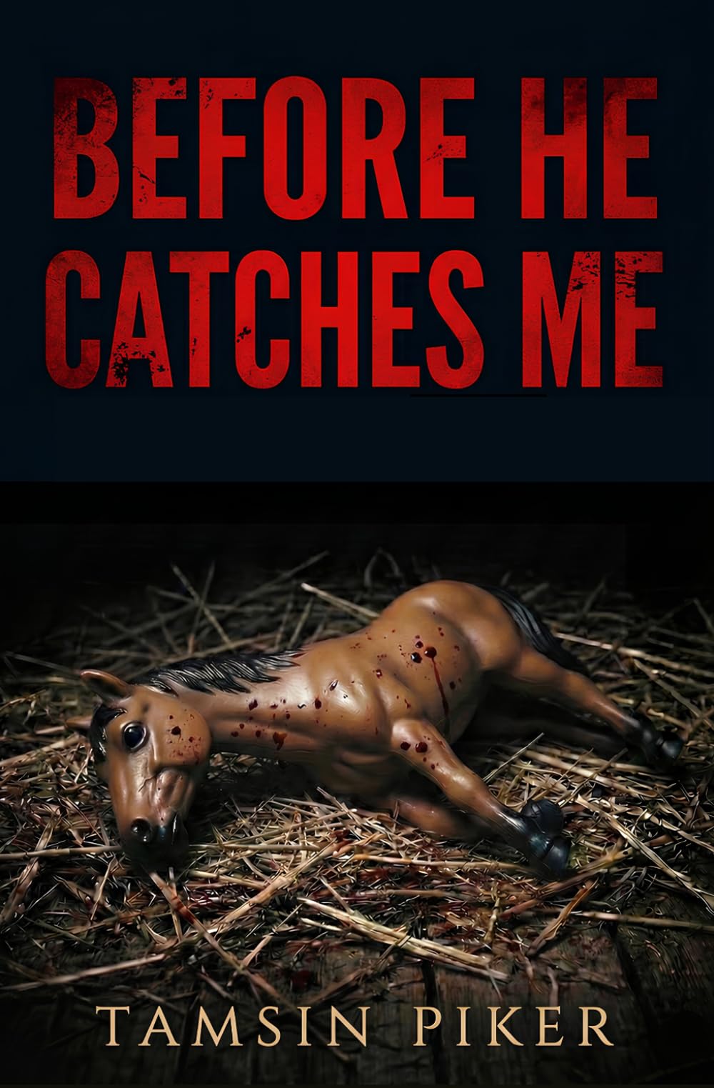 Before He Catches Me: A Gripping Dark Psychological Thriller with a Heart-Stopping Twist