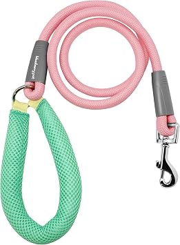 Blueberry Pet Dog Leash 4ft - Vibrant Pink Rope Dog Leash with Coral/Mint Handle, Puppy Essentials for Small Dogs, Comfortable Padded Hold, Pink Leash for Fashionable Pet Owners