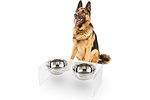 DBL2001A Keaton Clear Dog Bowl Stand