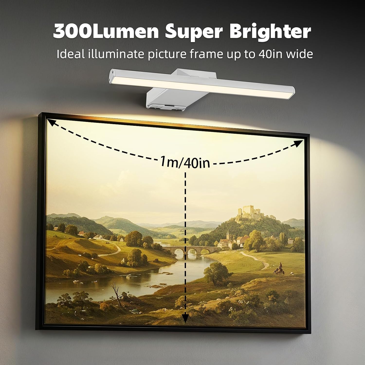 16" Picture Lights for Wall, 10000mAh Rechargeable Battery Operated Art Light with Remote, 300lm Bright Dimmable 3 Color Temps LED Wall Lights for Living Room, Bedroom, Hallway, White