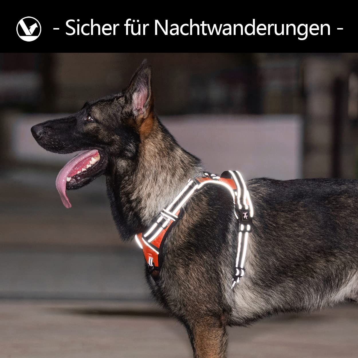 PoyPet Imbracatura per cani antiriflesso anteriore per cani con facile controllo, impugnatura e retro perfetta per l'allenamento quotidiano, camminata, corsa (arancione, L)