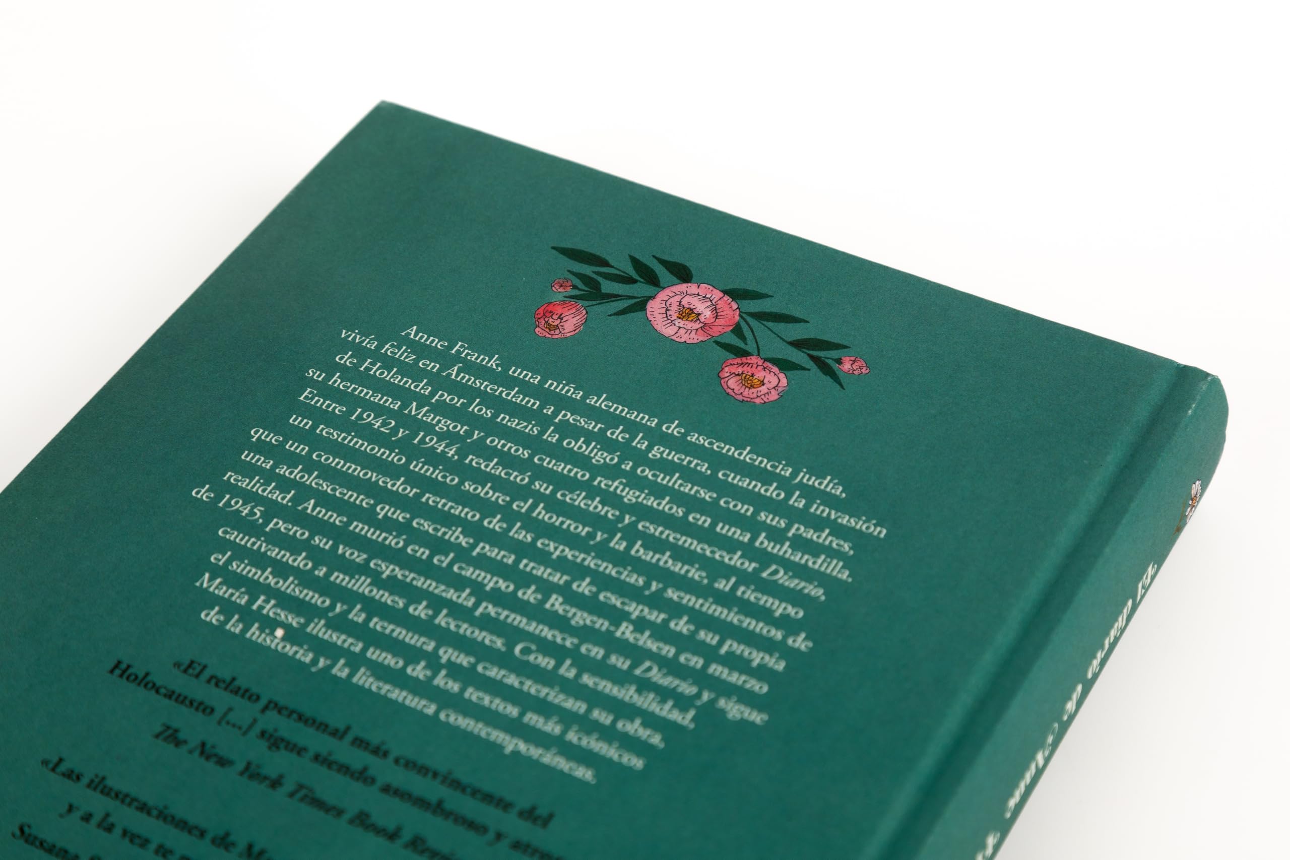 Diario de Anne Frank (edición ilustrada) (Lumen Gráfica)