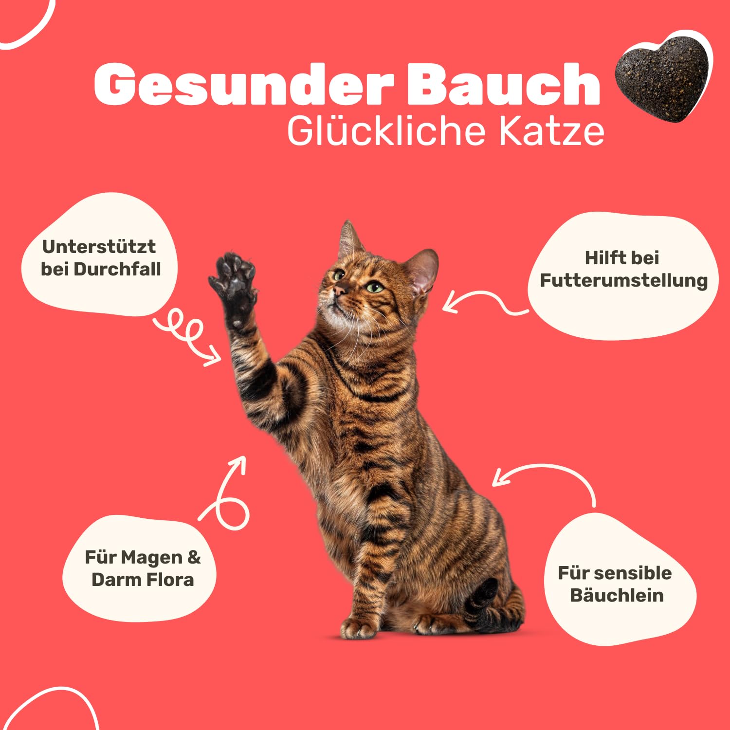 2er Set | 9-in-1 Probiotika für Deine Katze | Unterstützt die Verdauung von Katzen | Ergänzungsfuttermittel für Katzen | Bei Durchfall Katze | Flohsamen & Löwenzahnkraut | Patsli Belly