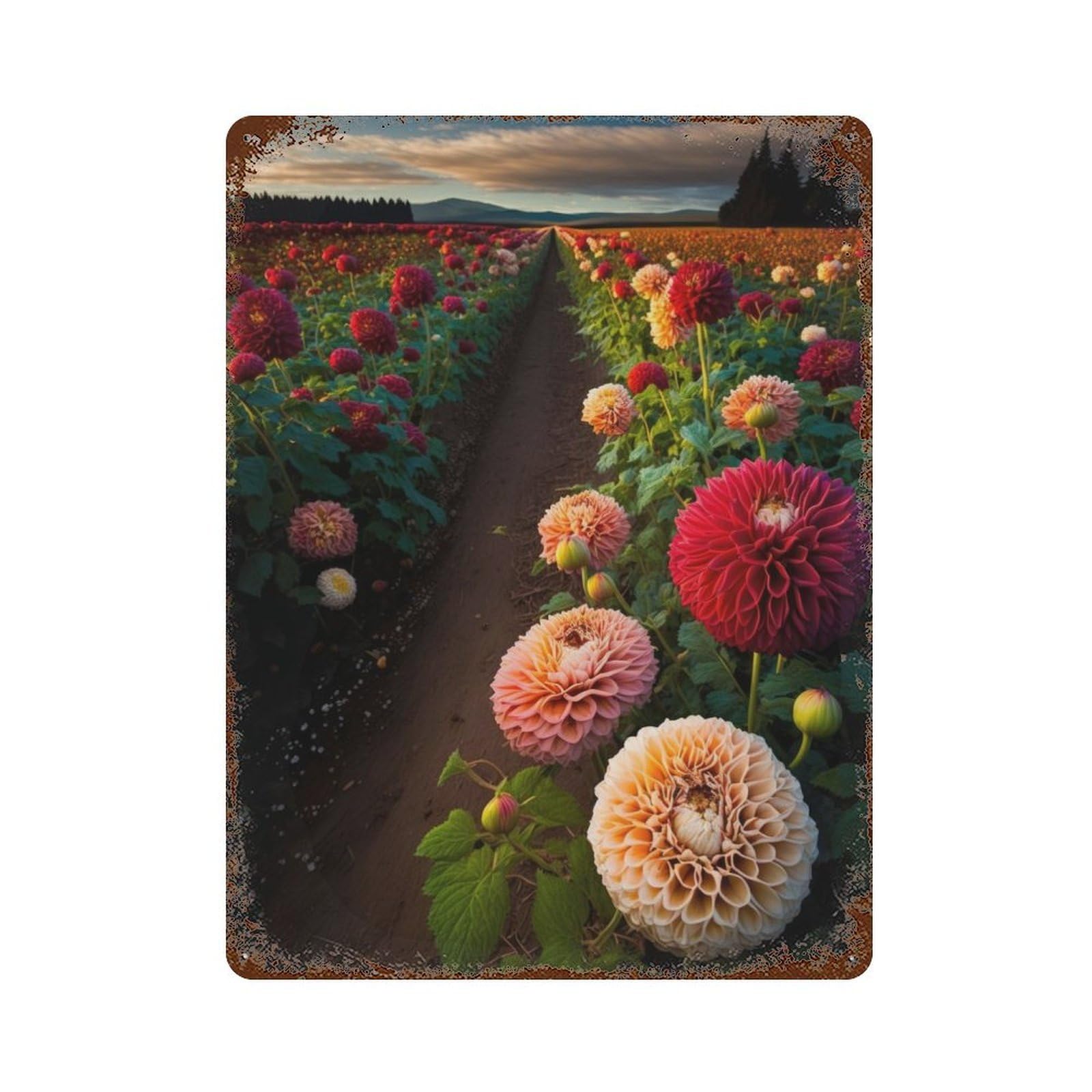 Garage Style Field of Dahlias Vintage Rust Metal Sign 15.7"x11.8", Retro Wall Decor for Bar And Workshop